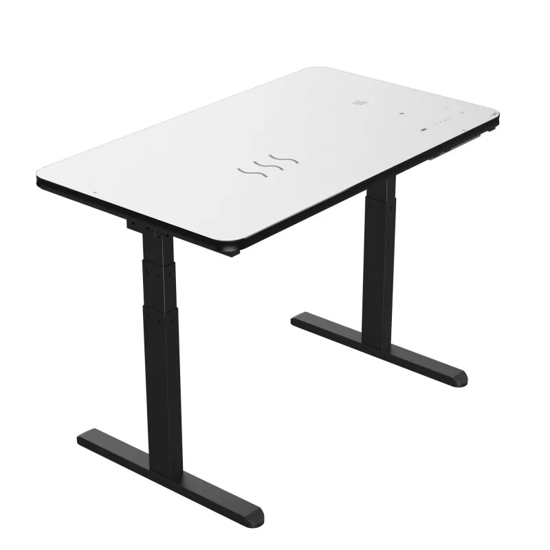Zwart glazen bord Dual Motor Electric Lifting Table